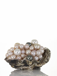 Perlen und schwarze Perlen auf Muschel - AKF00004