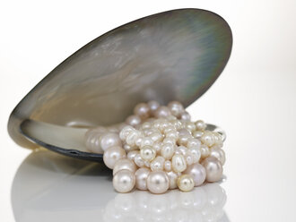 Perlenkette und Muschel - AKF00002