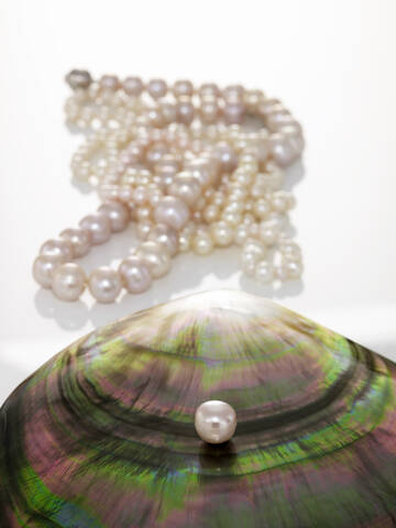 Perle auf Muschel, Perlenkette im Hintergrund, lizenzfreies Stockfoto