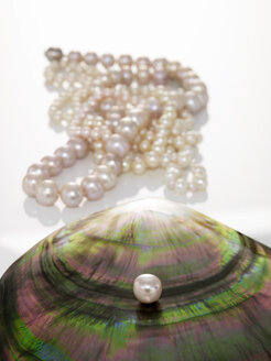 Perle auf Muschel, Perlenkette im Hintergrund - AKF00001