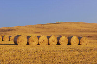 Italien, Toskana, Strohballen auf Maisfeld - RUEF00040