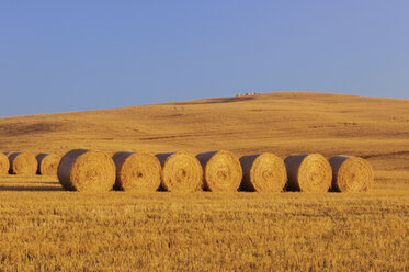 Italy, Tuscany, Bales of straw on corn field - RUEF00040