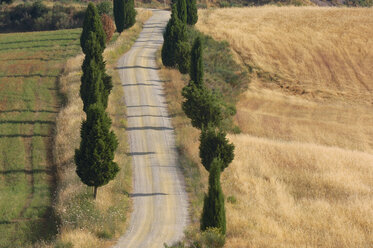 Italy, Tuscany, Farmland with alley, elevated view - RUEF00038