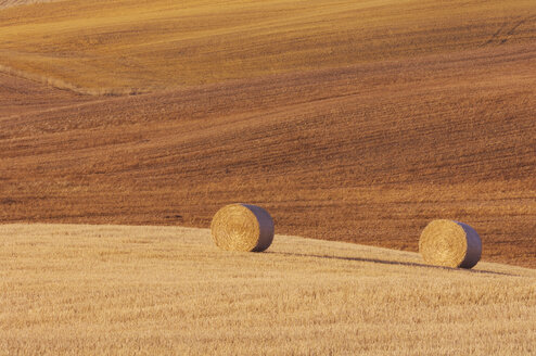 Italien, Toskana, Strohballen auf Maisfeld - RUEF00034