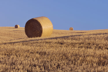Italy, Tuscany, Bales of straw on corn field - RUEF00033