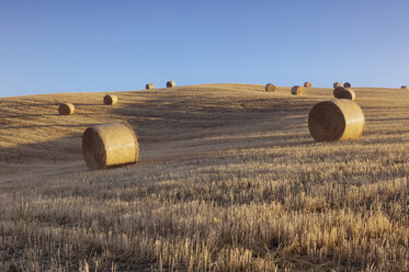 Italy, Tuscany, Bales of straw on corn field - RUEF00032