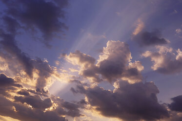 Sonnenstrahlen, die durch die Wolken scheinen, niedriger Blickwinkel - RUEF00026