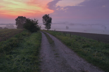 Deutschland, Feldweg in der Morgendämmerung - RUE00095