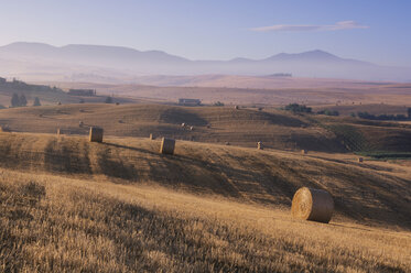 Italy, Tuscany, Bales of straw on harvested corn fields - RUE00090