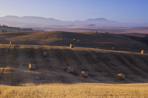 Italien, Toskana, Strohballen auf abgeernteten Maisfeldern - RUE00089