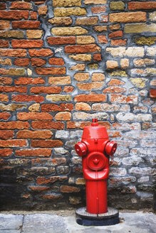 Wasserhydrant gegen Backsteinmauer - WWF00451