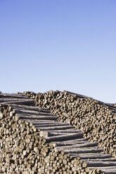 Stack of logs - WWF00426