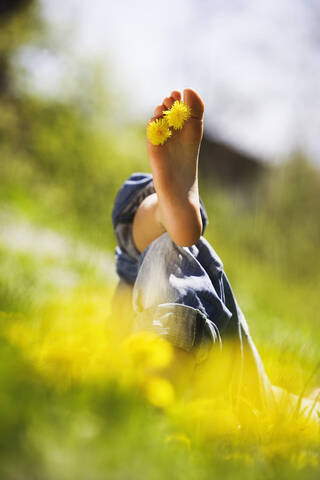 Person entspannt auf einer Wiese, Löwenzahnblüten zwischen den Zehen, lizenzfreies Stockfoto