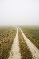 Feldweg und Nebel - WWF00416