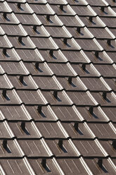 Roof tiles, full frame, close up - WWF00414