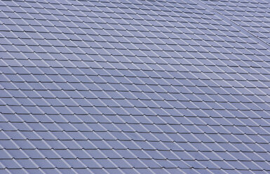 Roof tiles, full frame, close up - WWF00410