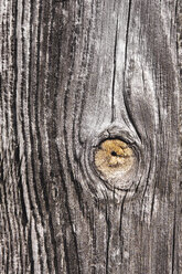 Altes Holz, Astloch, Nahaufnahme - WWF00393