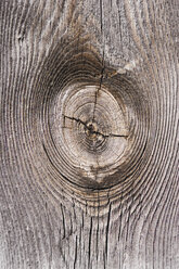 Old timber, knothole, close up - WWF00392