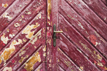 Weathered door, close up - WWF00389