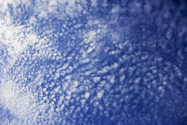 Cirrus clouds, low angle view - WWF00382