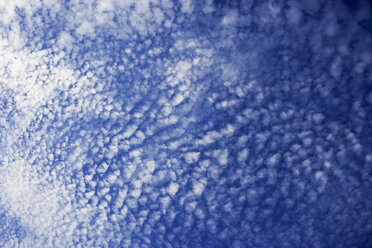 Zirruswolken, niedriger Blickwinkel - WWF00382