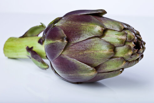 Einzelne Artischocke (Cynara cardunculus, Syn. Cynara scolymus), Nahaufnahme - MAEF01530