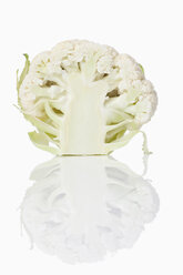 Half cauliflower (Brassica oleracea var. botrytis L.) - MAEF01526