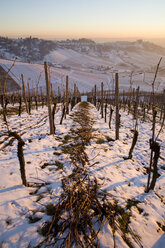 Deutschland, Stuttgart, schneebedeckte Weinbergterrassen - WD00420