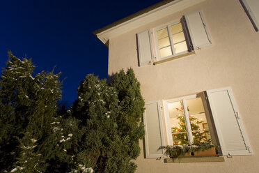 Germany, Christmas tree in window - WD00419