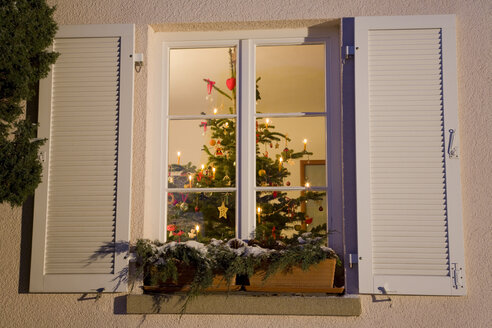 Deutschland, Weihnachtsbaum im Haus, Blick durchs Fenster - WD00418