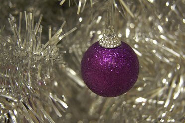 Christmas tree ball, close up - TLF00284