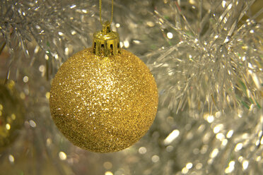 Christmas tree ball, close up - TLF00283