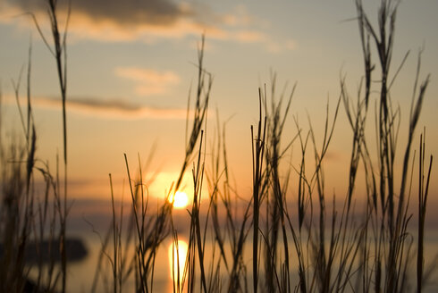 Griechenland, Ithaka, Sonnenuntergang am Meer - MUF00797