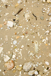 Pebbles on shore, full frame, elevated view - MUF00785