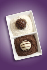 Pralinen in Kakaopulver und weißer Schokolade, Ansicht von oben - 10220CS-U