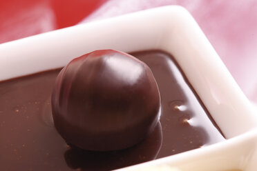 Praline in chocolate sauce, close-up - 10216CS-U