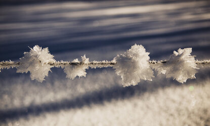 Austria, Salzkammergut, Snow capped fence, close up - WWF00708