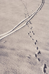 Austria, Salzkammergut, Tracks in the snow - WWF00707
