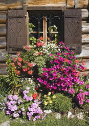 Austria, Salzkammergut, Window with flowers - WWF00690