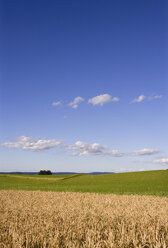 Österreich, Salzkammergut, Irrsee, Landleben, blauer Himmel und Wolken - WWF00686