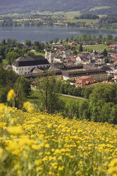 Österreich, Salzkammergut, Mondsee Dorf und See - WWF00685