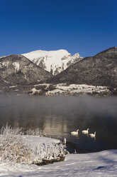 Austria, Lake Wolfgangsee, Schafberg Mountain in winter - WWF00673