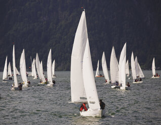 Austria, Salzkammergut, Lake Mondsee, Sailing regatta - WWF00604