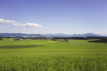 Österreich, Land Salzburg, Schleedorf - WWF00602