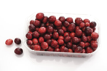 Preiselbeeren (Vaccinium macrocarpon) in Plastikkiste, Ansicht von oben - 10328CS-U