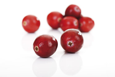 Preiselbeeren (Vaccinium macrocarpon) - 10700CS-U