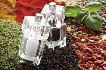 A selection of spices, Salt shaker and pepper mill in foreground, close-up - 10550CS-U