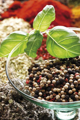 A selection of spices, peppercorns in glass bowl, close-up - 10544CS-U