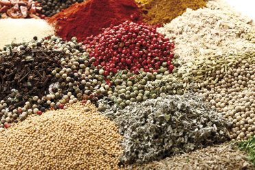 A selection of spices, full frame, close-up - 10535CS-U