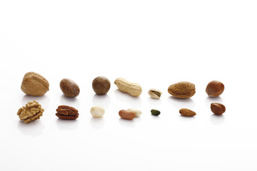 Variety of nuts in a row - 10481CS-U